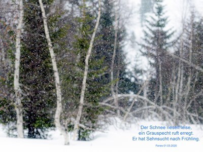 Drei Zeilen für einen Augenblick
