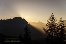 Drei Zeilen für einen Augenblick